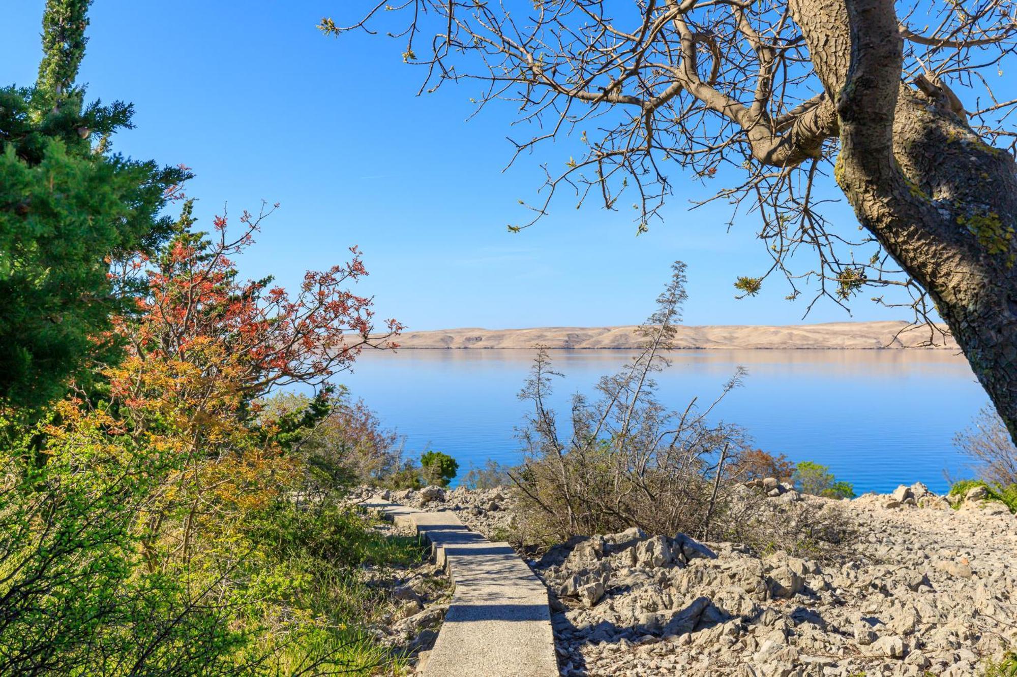 Beachfront House Nada - Happy Rentals Karlobag Esterno foto